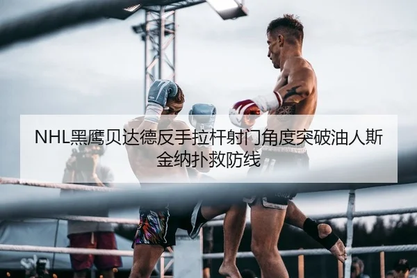 NHL黑鹰贝达德反手拉杆射门角度突破油人斯金纳扑救防线